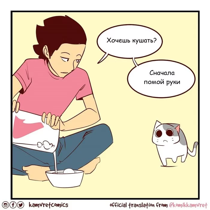 Кошачьи проблемы - Комиксы, Komikkamvret, Кот, Помыть руки, Гигиена, Длиннопост, Перевел сам