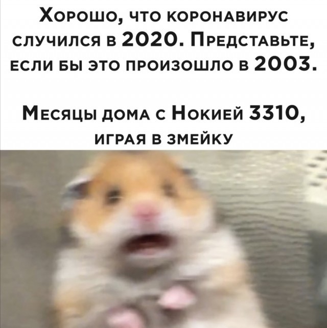 И с неожиданностью обнаружить, что в нокиа 3310 можно было обновлять игры через интернет - Коронавирус, Nokia 3310, Мемы, Картинка с текстом