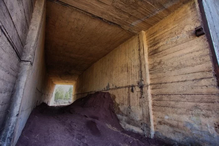 Strategic enterprise of the Altai Territory - Longpost, From the network, Barnaul, Urbanfact, Abandoned, Factory, the USSR, Bankruptcy, Company, Altai region