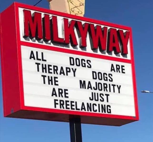 Absolute truth - Dog, Canistherapy, Treatment, Rehabilitation, Billboard, Freelance