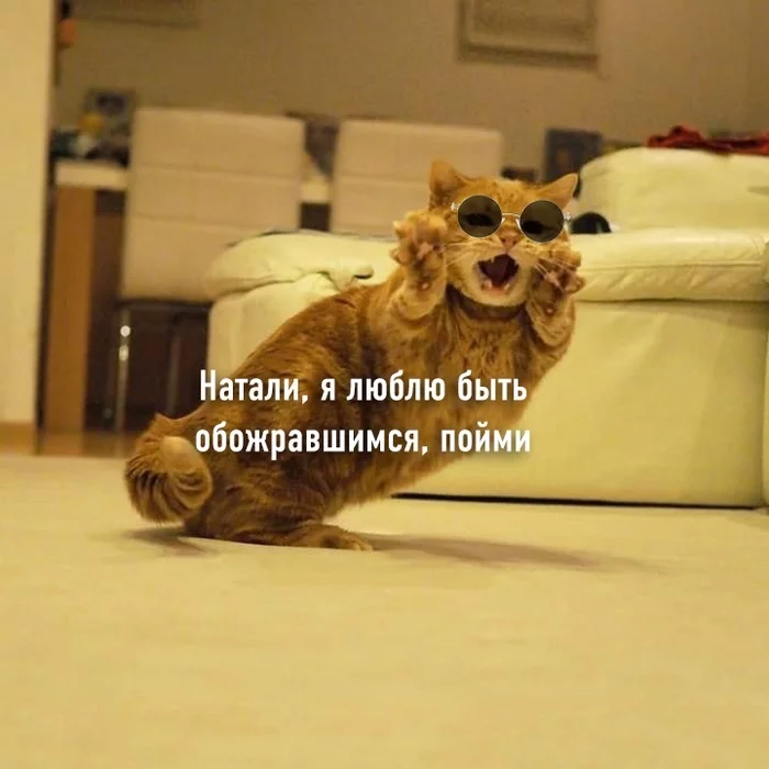 А теперь КотоЛепс Кот, Григорий Лепс, Длиннопост, Картинка с текстом