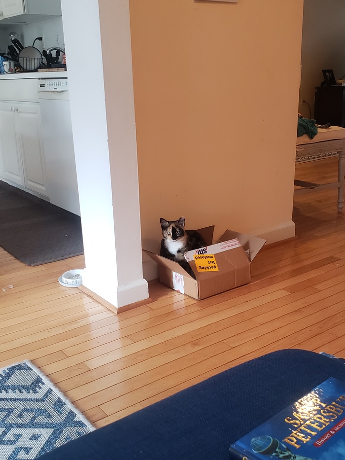 �� ����� ����� �� ������