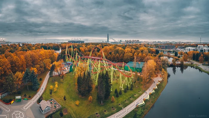 Snake and red forest - My, Saint Petersburg, The photo, Autumn, Attraction, Divo Island