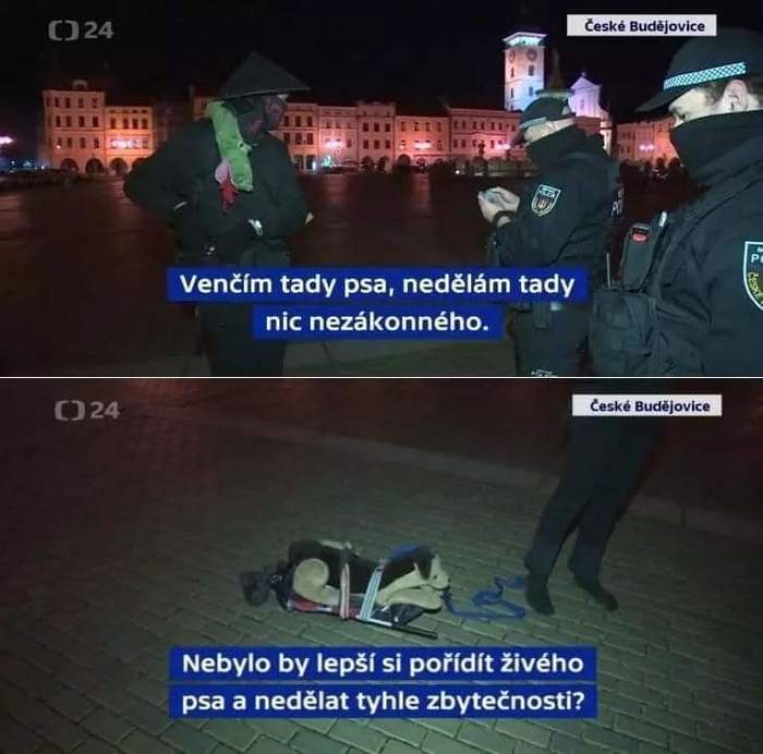 I don't see anything illegal here - Czech, news, Dog, Walking, Curfew, Toys