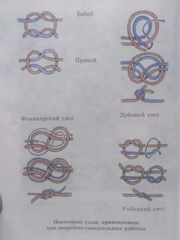 ОБЖ - Находка, Учебник, Воспоминания, Школа, Урок, ОБЖ, Длиннопост