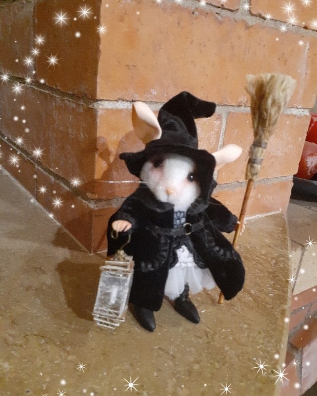 Witch mice))) - My, Elenamouse, Mouse, Bat, Halloween, Dry felting, Needlework without process, Longpost, Halloween Contest