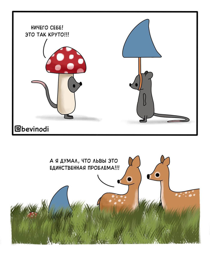  ,   , , Bevinodi