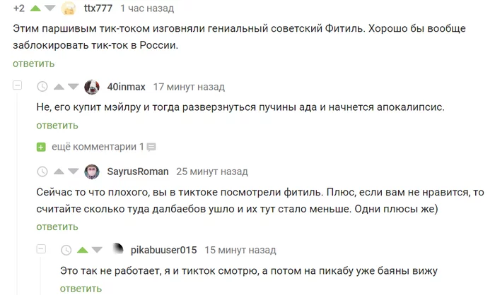 Idiots aren't going anywhere - Tiktok, Idiocy, Comments on Peekaboo, Screenshot