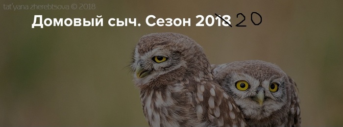 ����� � ��������� ��� ���� ���������� ������ � �� ����� �� ������������ ����