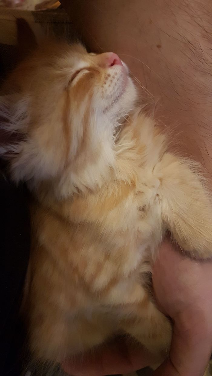    , ,  , , 