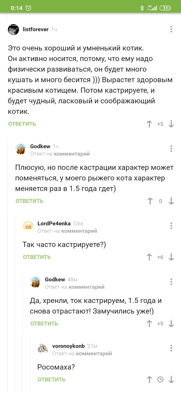 Росомаха?