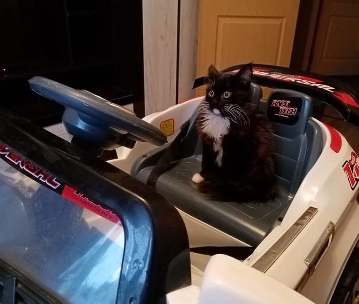 Этот взгляд...