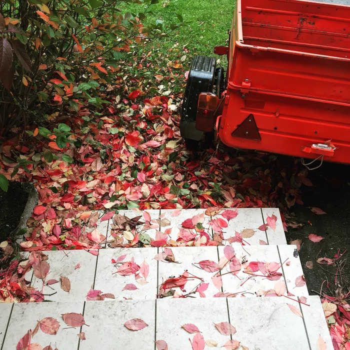 In mom's yard. Autumn - My, Autumn, Leaves, House, Longpost, Autumn leaves