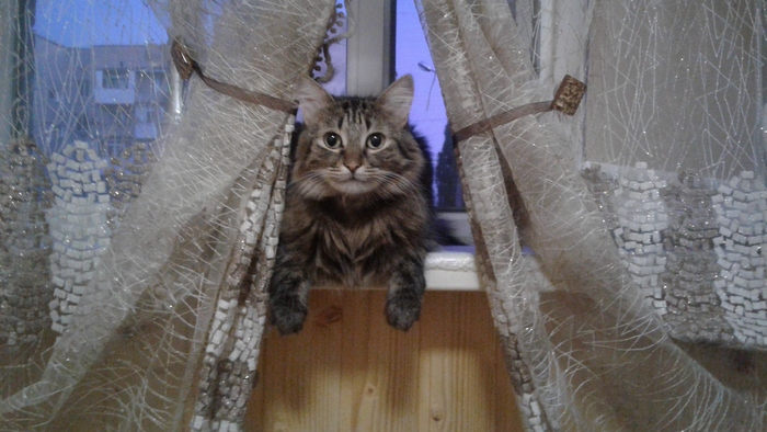 �����������, � ����������� ������)