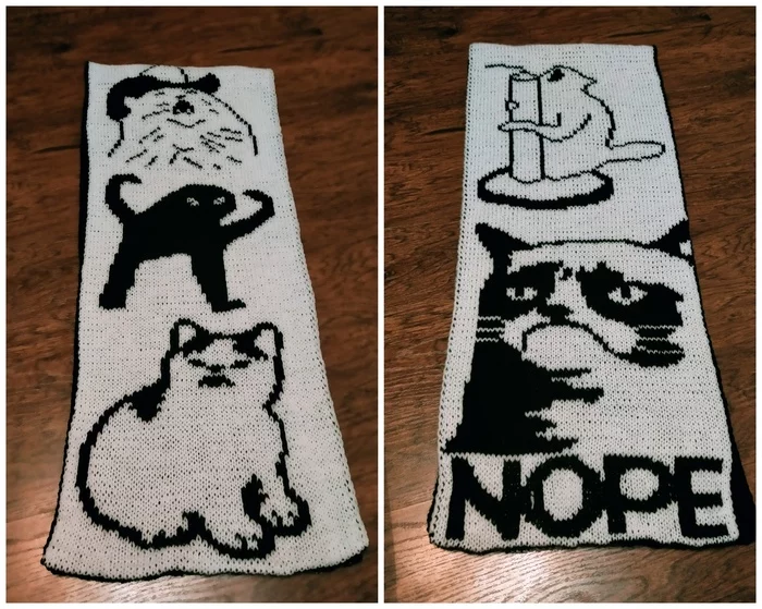 A scarf that fully describes my feelings from 2020 - My, Scarf, Knitting, Jacquard, cat, Memes, Needlework without process, Longpost