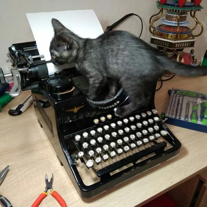 Kotolampovo - My, cat, Cat with lamp, Typewriter, Vintage, Milota