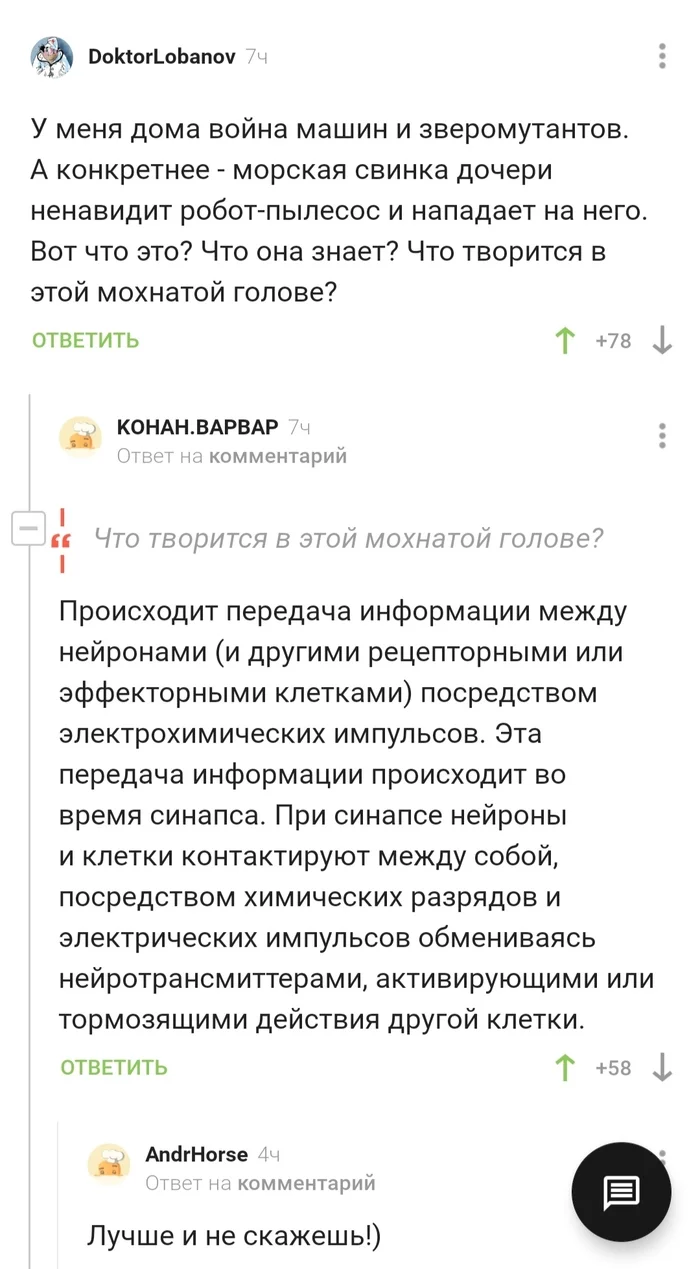 Что творится в этой мохнатой голове? - Скриншот, Комментарии на Пикабу