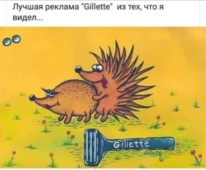 Advertising - Humor, Picture with text, Hedgehog, Razor, Advertising