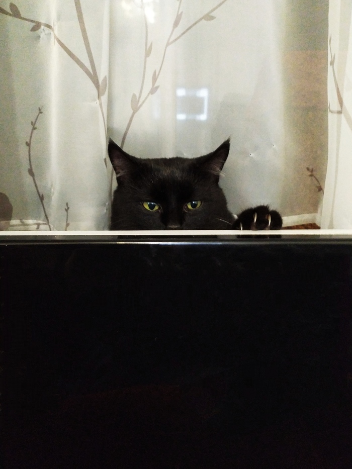 � �� ����� ��������