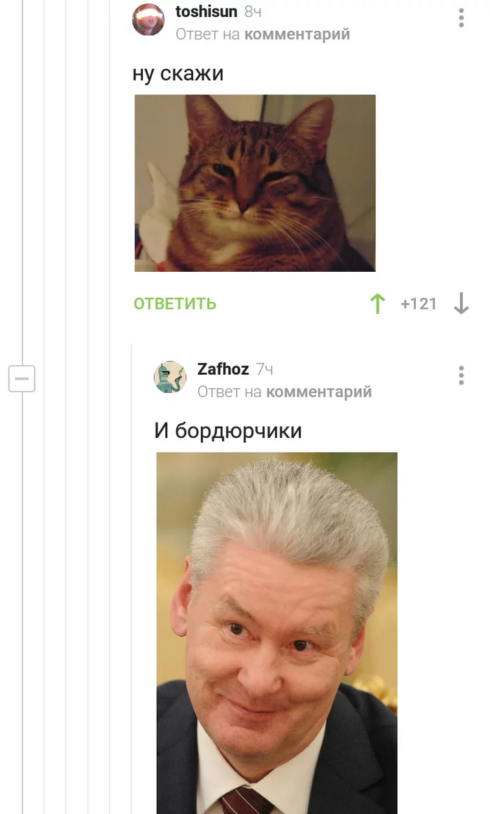 Это должен был сказать я Комментарии на Пикабу, Комиксы, Мемы, Сергей Собянин, Длиннопост, Комментарии, Кот, Понимающий кот