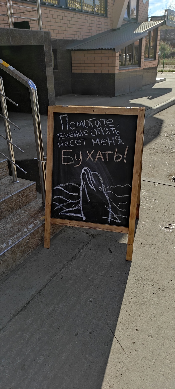 Вы знаете, я и сам своего рода дельфин