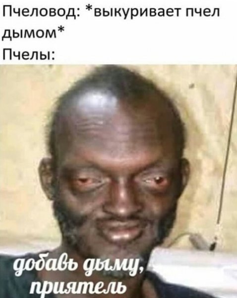 У тебя пчелы какие-то странные