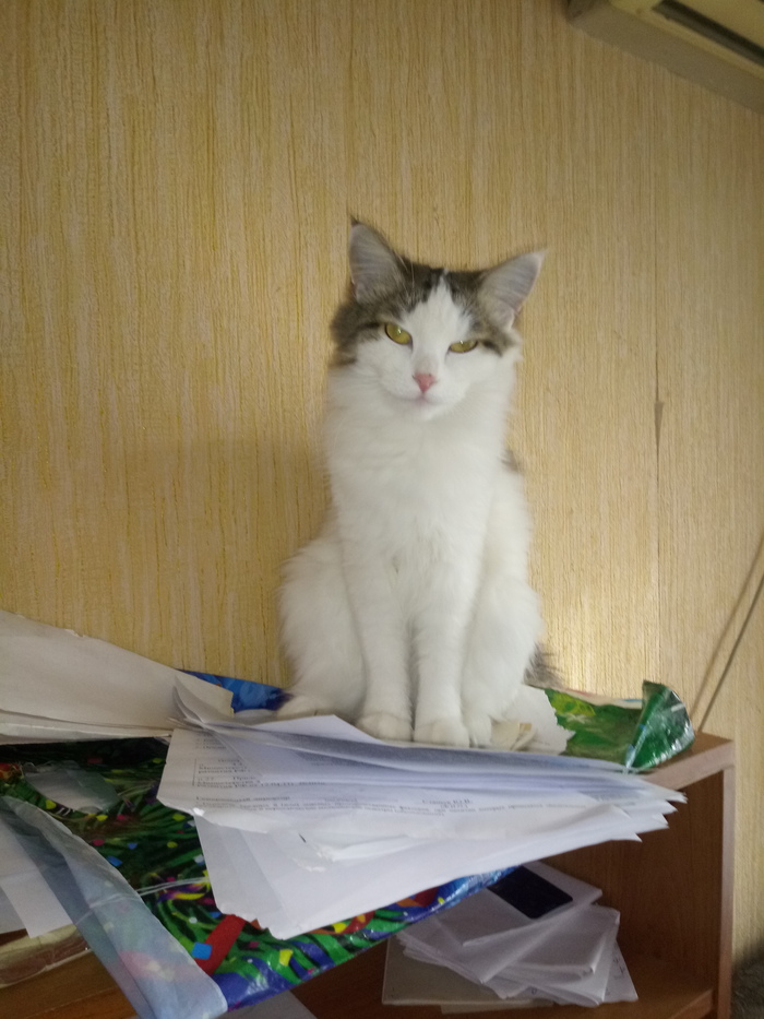 Замыслила гадость...