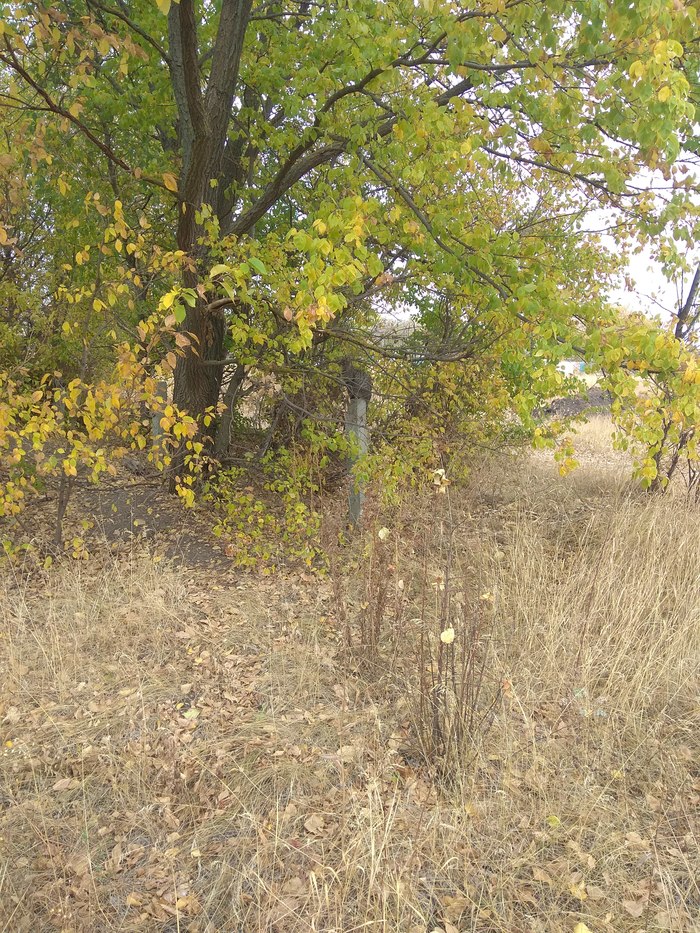 ������� �����������...