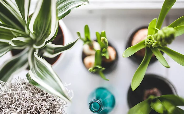 К нижнекамцу пришла полиция из-за того, что тот поливал цветы с голым торсом Частная собственность, Тайны, Цветы, Нижнекамск, Полиция К нижнекамцу пришла полиция из-за того, что тот поливал цветы с голым торсом Частная собственность, Тайны, Цветы, Нижнекамск, Полиция