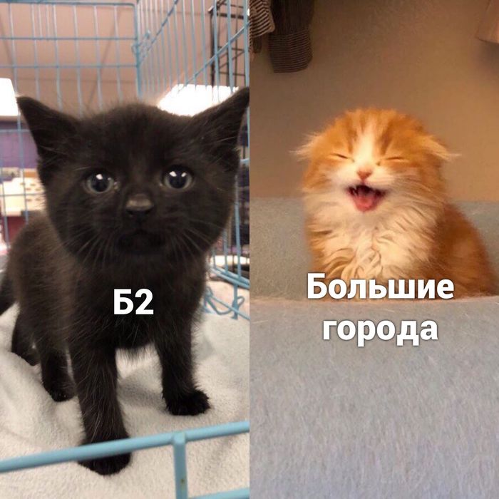     ? , , -2,    ,  , 