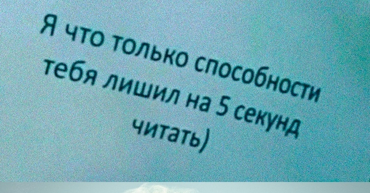 Я бы потратила на тебя все 9 жизней