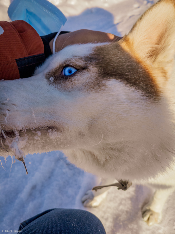 �������� �������