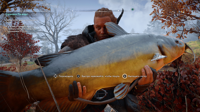 Сходил на рыбалку с Толяном