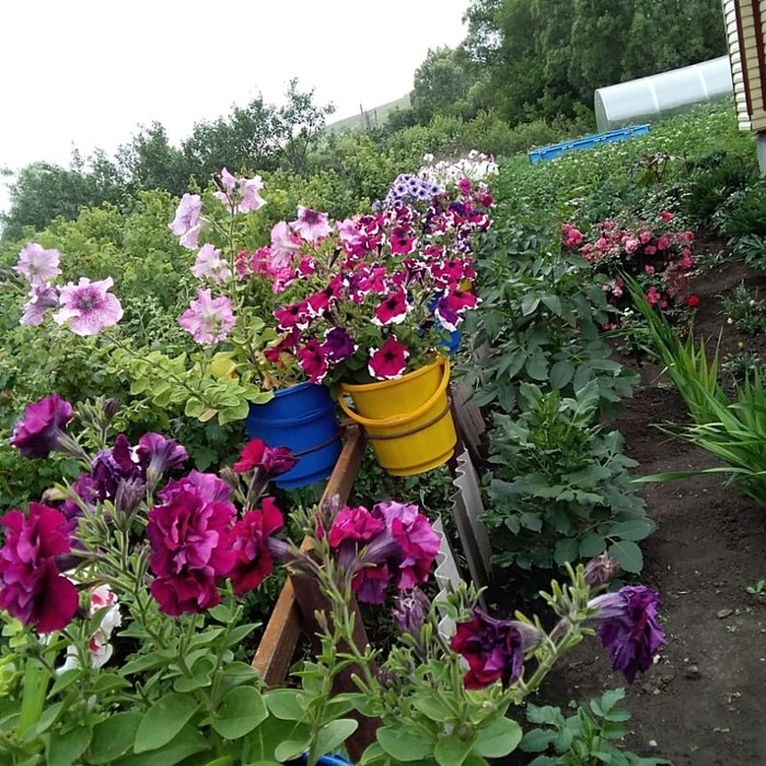 Коротко о лете...