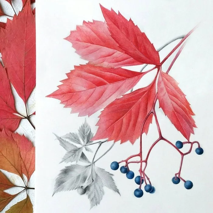 Post #7836422 - My, Watercolor, Graphics, Botanical illustration, Autumn, Drawing, Autumn leaves