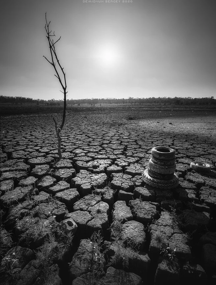 Oh brave new world... - My, The photo, Ecology, Abandoned, Landscape, Black and white