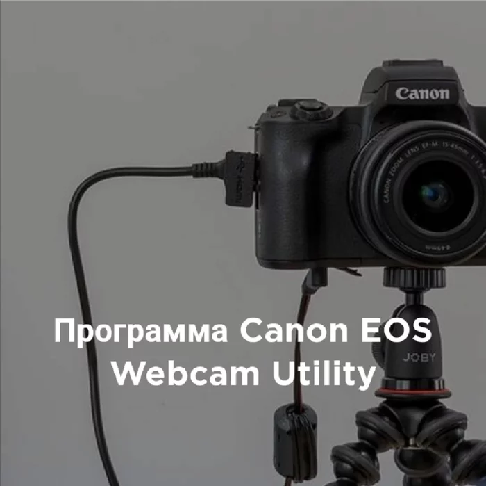 Canon 550D в качестве веб-камеры - Canon, Canon EOS 550D, Вебкамера