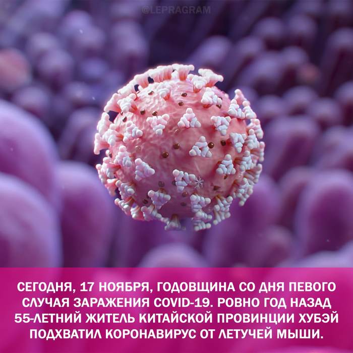 Happy holiday! - Virus, Coronavirus