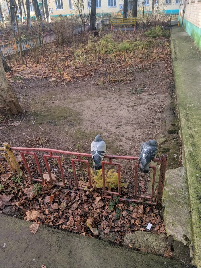 Camera Lumia 909 (1020) VS Samsung S7 for the user - My, Lumia 1020, Samsung galaxy s7, Comparison, Camera, camera phone, Versus, Against, Longpost