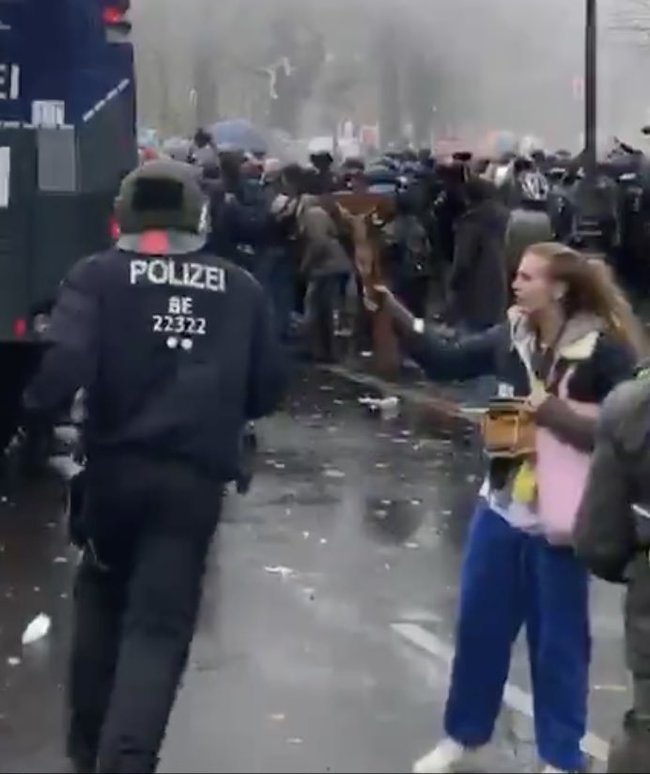 Разгон демонстрации в Берлине. 18.11.2020 - Политика, Протест, Германия, Ангела Меркель, Сарказм, Colonelcassad, Видео, Длиннопост