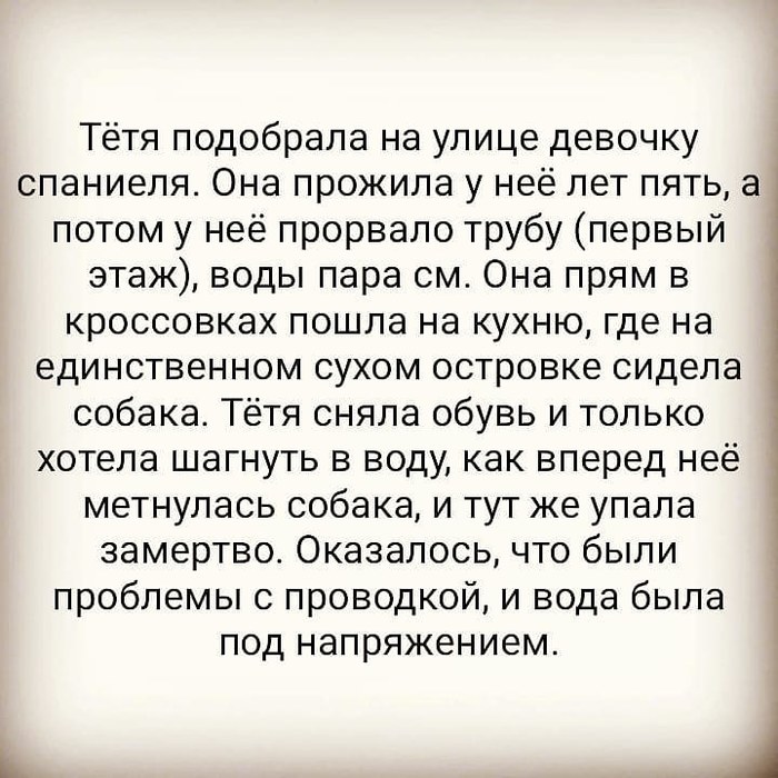 ������ ����