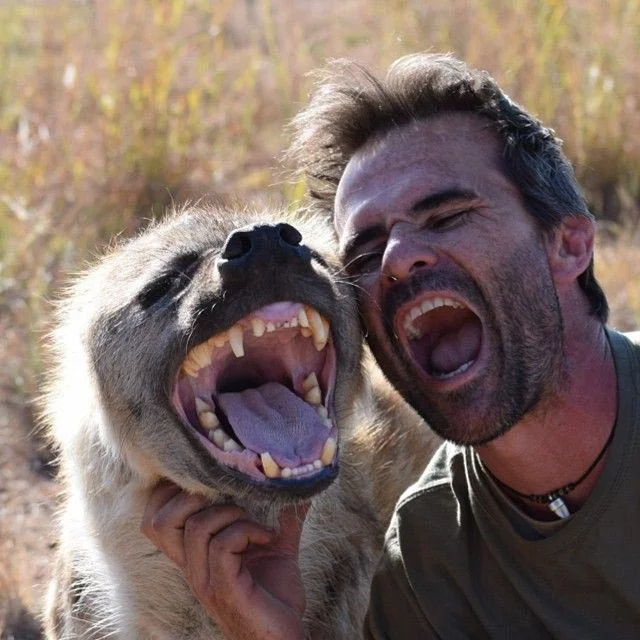 When there is love, mutual understanding and trust... - Hyena, Spotted Hyena, Kevin Richardson, Wild animals, South Africa, Africa, Animals, Daredevil