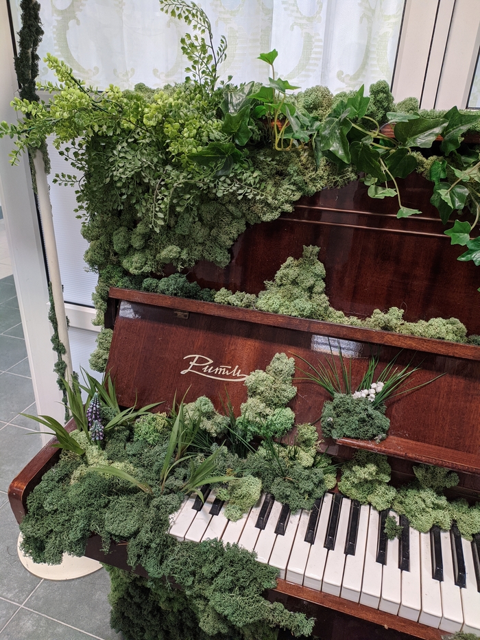     ,  ! , Samorost, , 