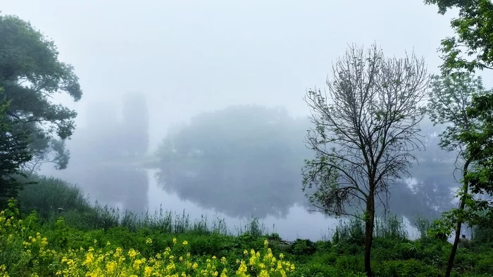 Morning - My, Fog, Landscape, River, Nature, Summer, Morning