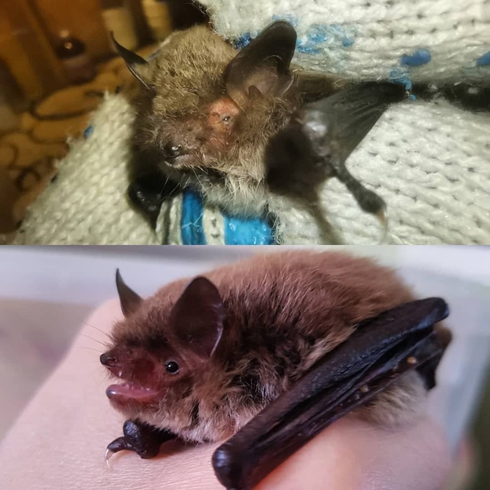 Было - стало