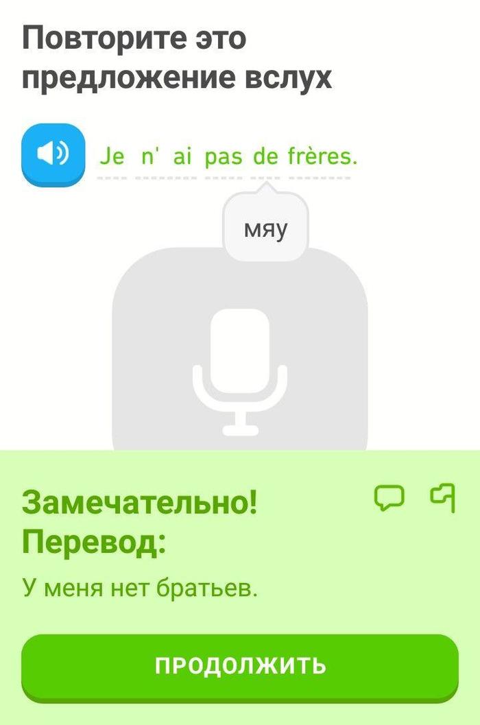 Post #7845068 - My, Duolingo, Duolingo, Foreign languages, French