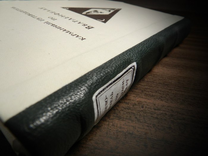 Книжки по миру TES | Пикабу