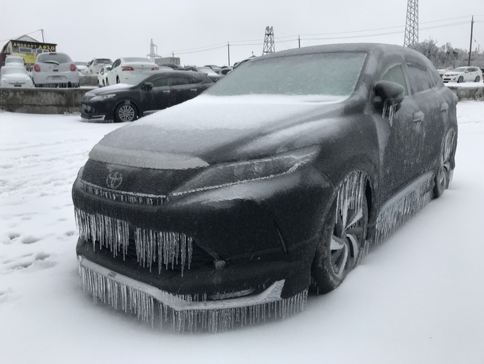 Аукционный автомобиль что это значит. 1605964831198682622. Аукционный автомобиль что это значит фото. Аукционный автомобиль что это значит-1605964831198682622. картинка Аукционный автомобиль что это значит. картинка 1605964831198682622.