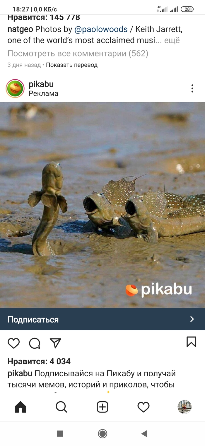 ������� ������