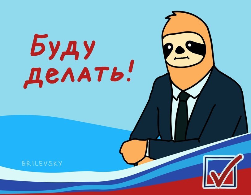 Our candidate! - Elections, Candidates, Brilevsky, Sloth, Longpost, Politics